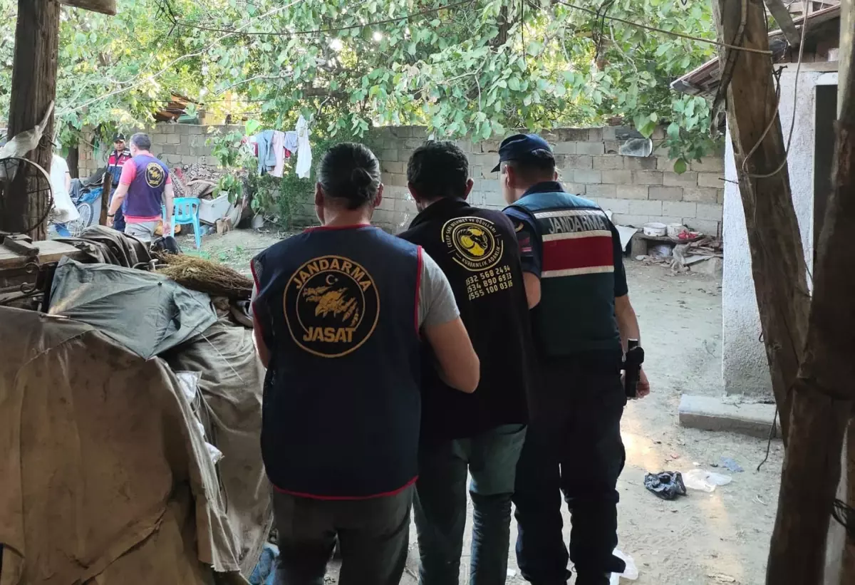 torunundan dehset babaannesi darp edilerek olduruldu IuKmbIJR