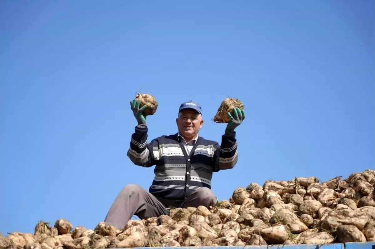 seker arzinda sorun beklenmiyor 8Njc1OHE.jpg