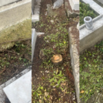 atlas-featured-11276-1775644274-iuOJSd